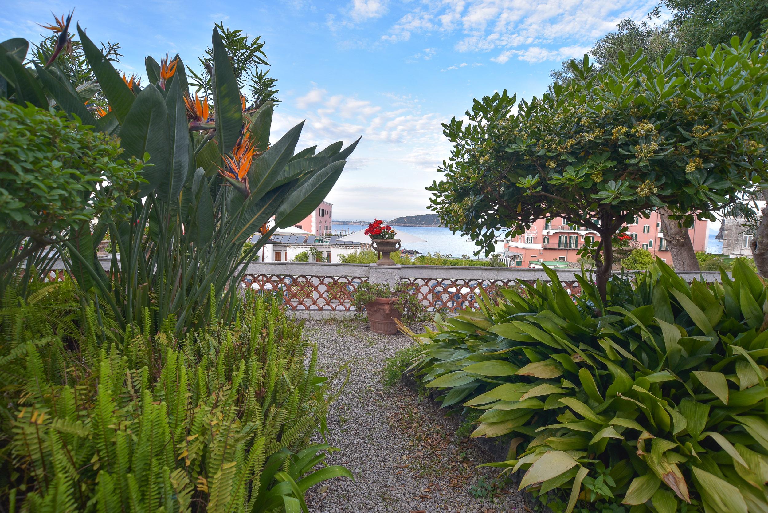 Villa Panoramica - Ischia Ponte Exteriér fotografie