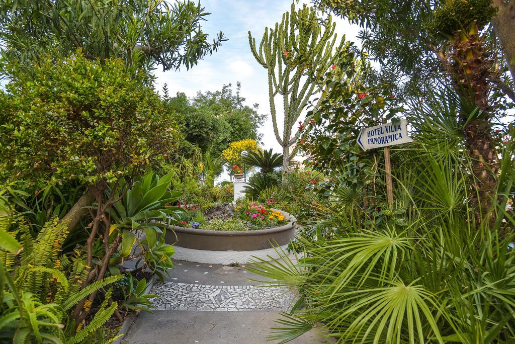 Villa Panoramica - Ischia Ponte Exteriér fotografie