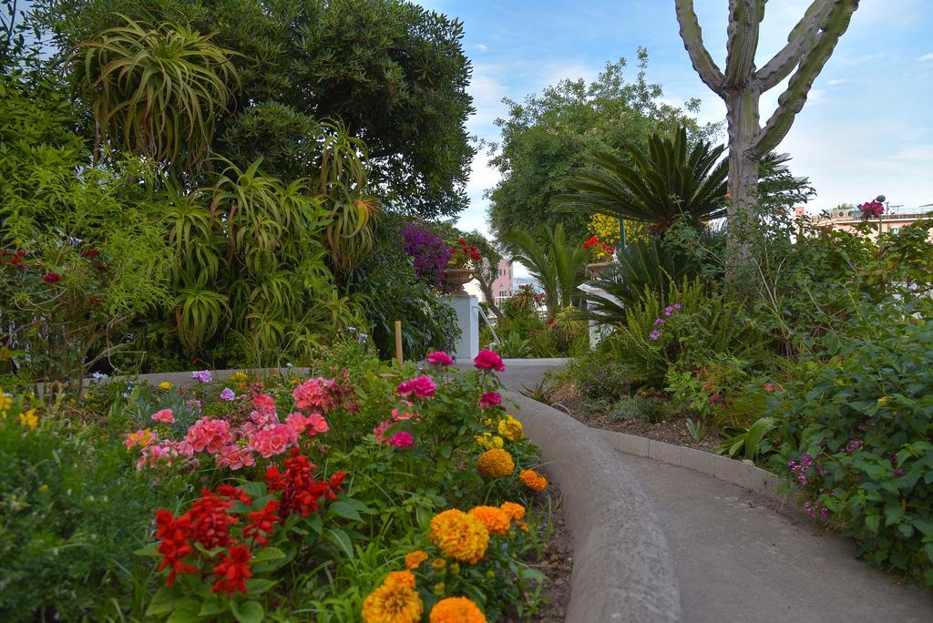 Villa Panoramica - Ischia Ponte Exteriér fotografie